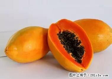 晕车、脚气、牙齿变黄、皮肤粗糙？学会这些三分钟搞定！ - 郑州生活资讯 - 郑州28生活网 zz.28life.net
