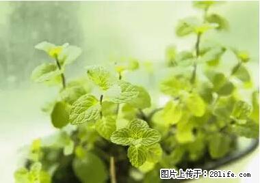 晕车、脚气、牙齿变黄、皮肤粗糙？学会这些三分钟搞定！ - 郑州生活资讯 - 郑州28生活网 zz.28life.net