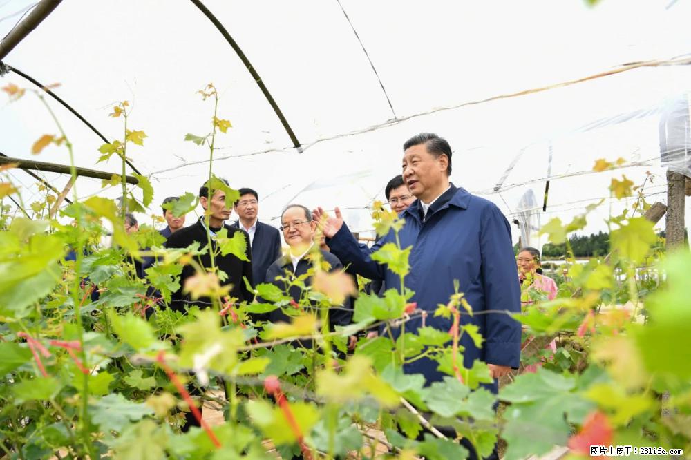习近平赴广西考察调研 - 郑州生活资讯 - 郑州28生活网 zz.28life.net