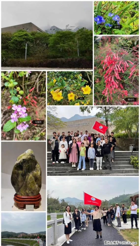 “粤灌文化 美好生活”油茶文化主题活动在广东深圳成功举办 - 郑州生活资讯 - 郑州28生活网 zz.28life.net