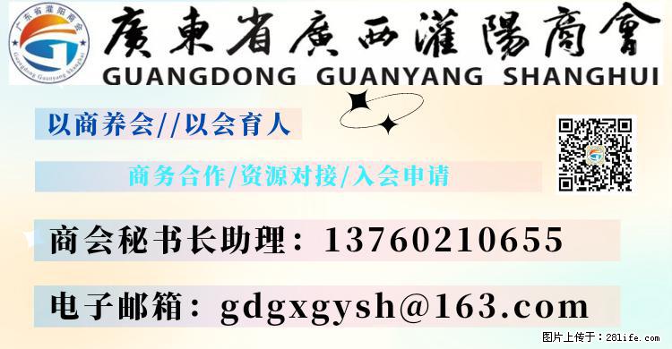 “粤灌文化 美好生活”油茶文化主题活动在广东深圳成功举办 - 郑州生活资讯 - 郑州28生活网 zz.28life.net