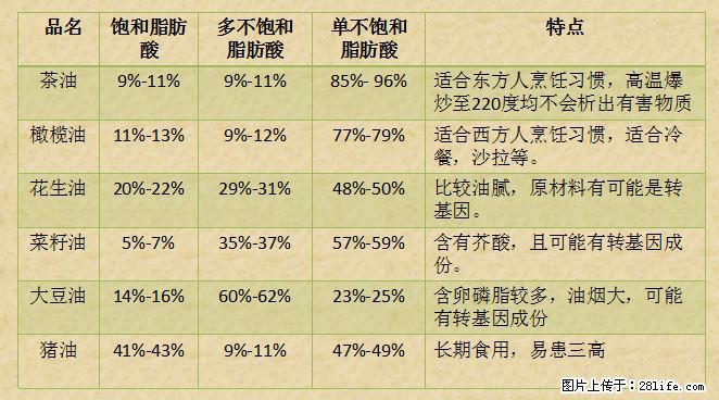 揭秘茶油的5大核心营养成分！被称为人体健康的“守护盾”！ - 郑州生活资讯 - 郑州28生活网 zz.28life.net