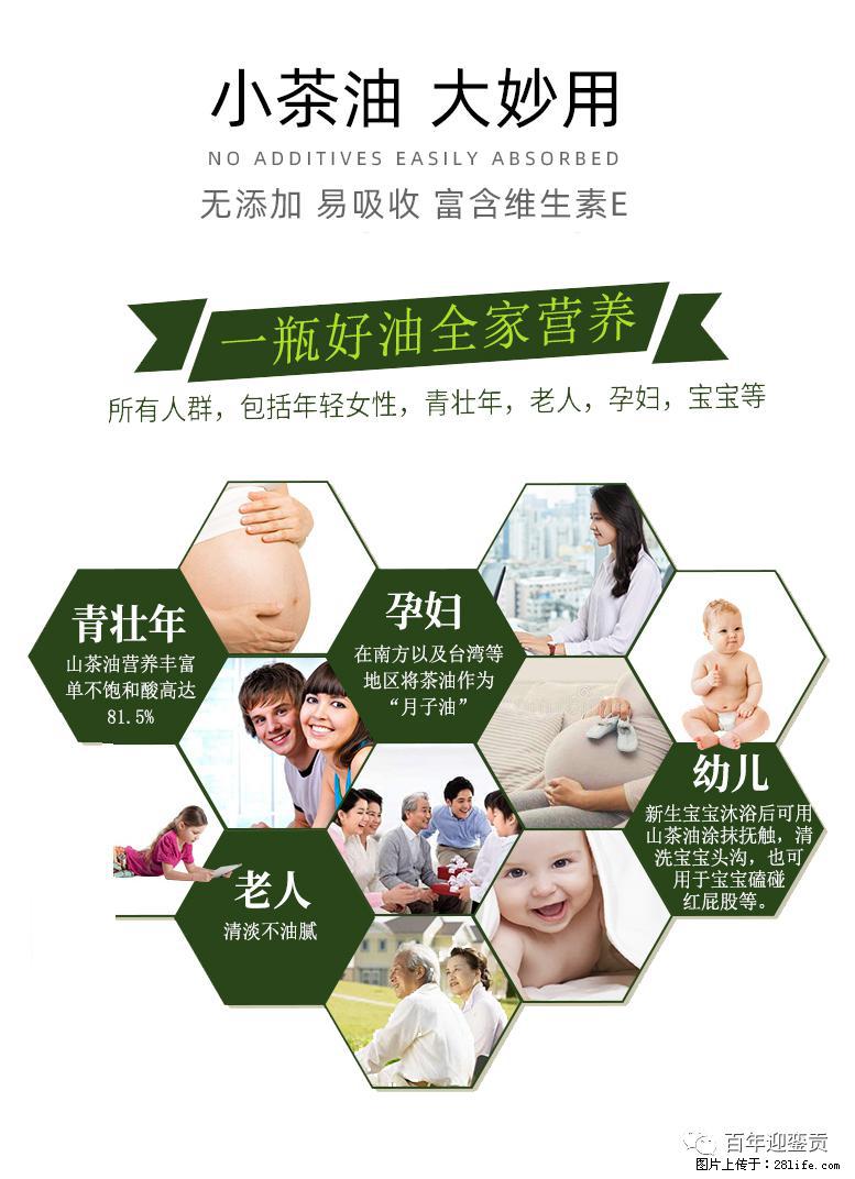 世界没有真相，只有认知，最好的食用油是中国的山茶油！ - 郑州生活资讯 - 郑州28生活网 zz.28life.net