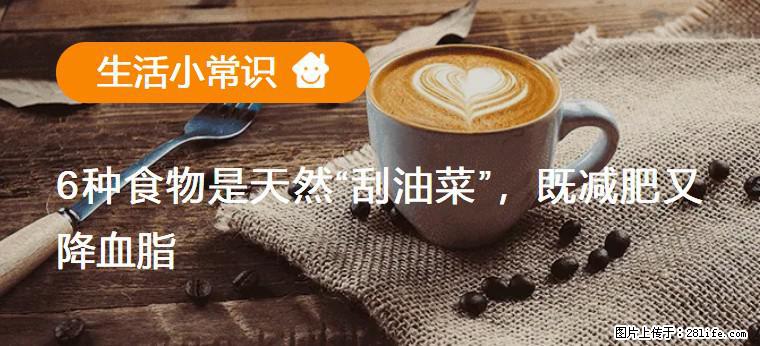 【生活小常识】6种食物是天然“刮油菜”，既减肥又降血脂 - 郑州生活资讯 - 郑州28生活网 zz.28life.net