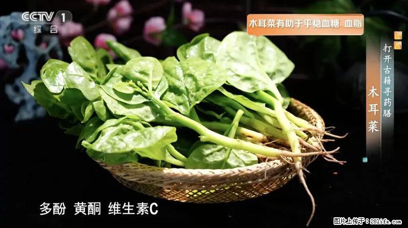 比牛奶补钙还厉害！凉血解毒、稳血糖...这菜冬天必吃，很多人却当草 - 郑州生活资讯 - 郑州28生活网 zz.28life.net