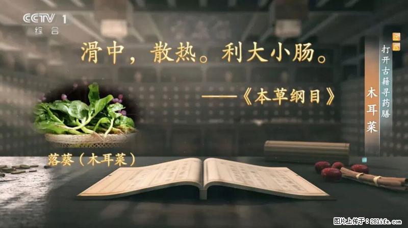 比牛奶补钙还厉害！凉血解毒、稳血糖...这菜冬天必吃，很多人却当草 - 郑州生活资讯 - 郑州28生活网 zz.28life.net