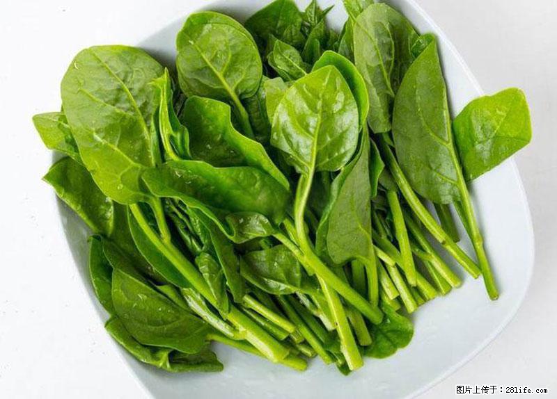 这些蔬菜是“天然钙片”，这6种被医生重点推荐 - 郑州生活资讯 - 郑州28生活网 zz.28life.net