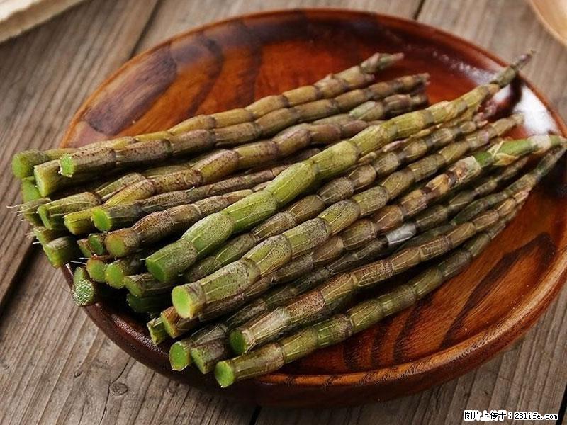 铁皮石斛的作用与功能主治 - 郑州生活资讯 - 郑州28生活网 zz.28life.net