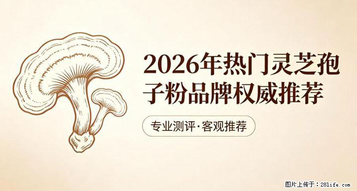 灵芝孢子粉含量越高越有效？2026 年七款热门品牌深度实测，肠胃敏感者避坑指南 - 郑州生活资讯 - 郑州28生活网 zz.28life.net