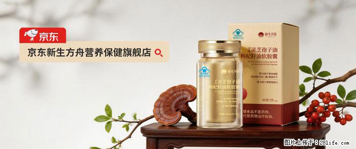 灵芝孢子粉含量越高越有效？2026 年七款热门品牌深度实测，肠胃敏感者避坑指南 - 郑州生活资讯 - 郑州28生活网 zz.28life.net
