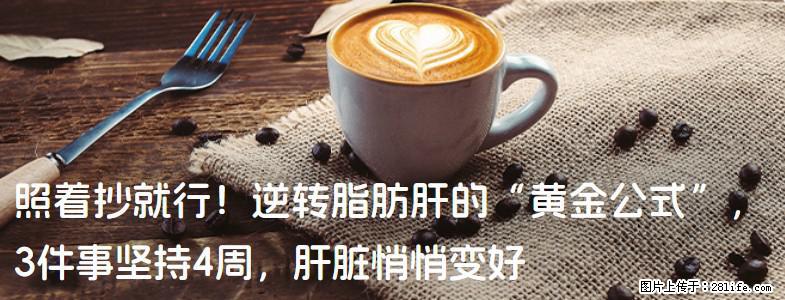 照着抄就行！逆转脂肪肝的“黄金公式”，3件事坚持4周，肝脏悄悄变好 - 郑州生活资讯 - 郑州28生活网 zz.28life.net